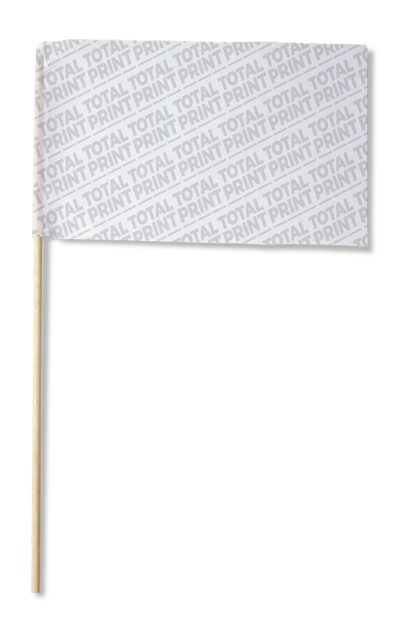 Bandera con mástil
